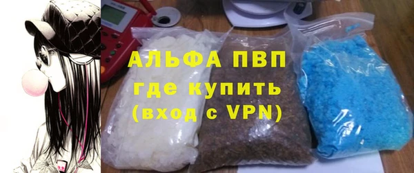 гидра Елабуга