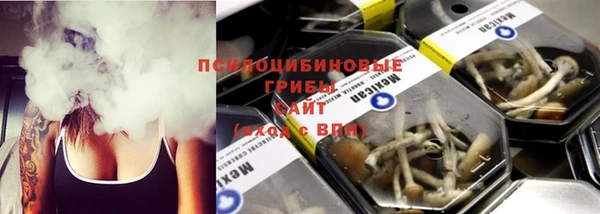 герыч Ельня