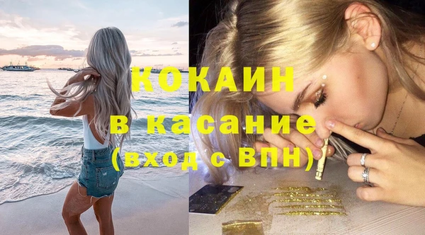 гидра Елабуга