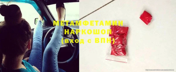 гидра Елабуга