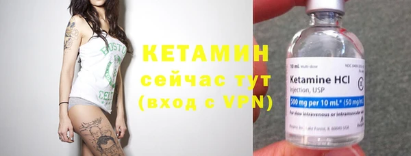 гидра Елабуга