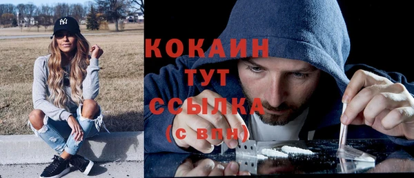 гидра Елабуга