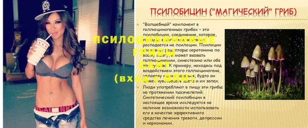 гидра Елабуга