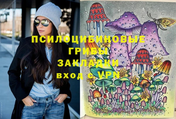 герыч Ельня