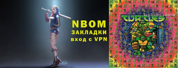 гидра Елабуга