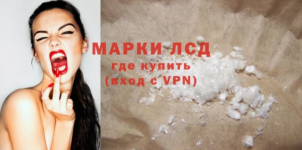 гидра Елабуга